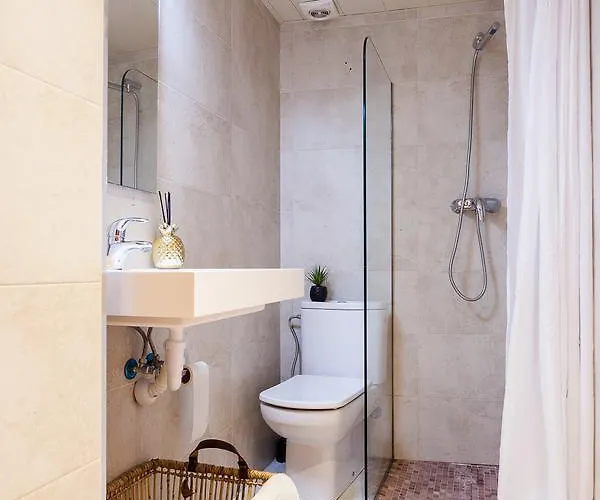 Apartment Catedral Boutique Gerona
